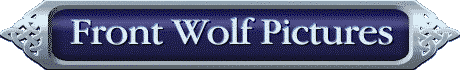 Front Wolf Pictures